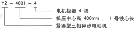 YR系列(H355-1000)高压Y4007-8/250KW三相异步电机西安西玛电机型号说明